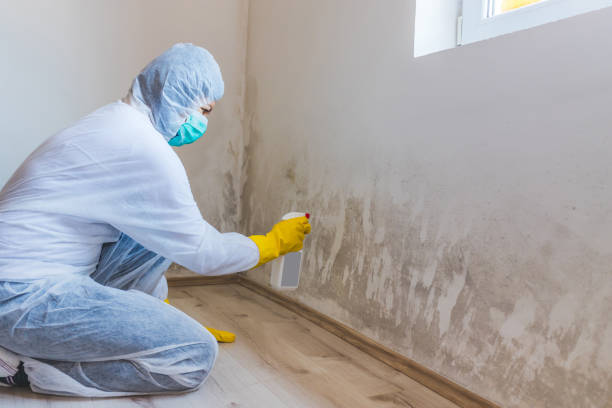 Crawl Space Mold Remediation treatment of floor joists in Abell