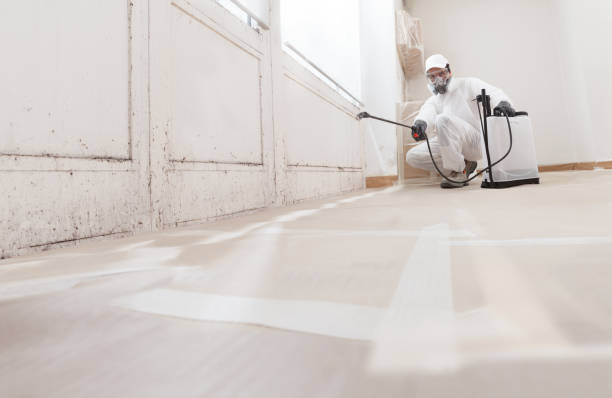 Black mold remediation team in Abell